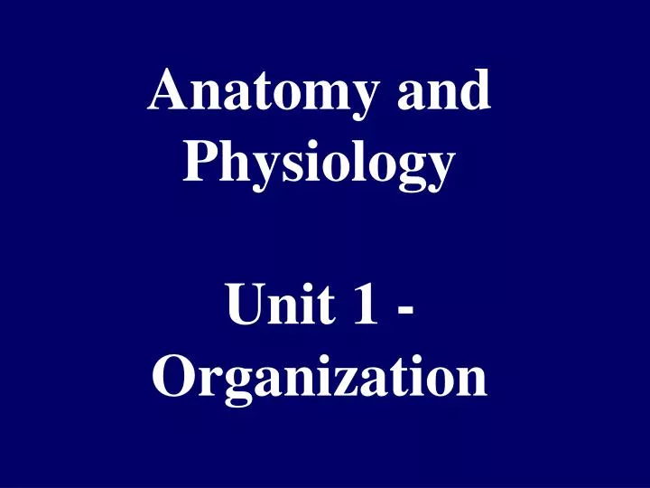 anatomy and physiology unit 1 organization