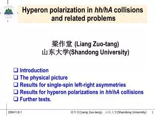 Hyperon polarization in hh/hA collisions and related problems
