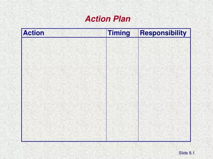 action plan