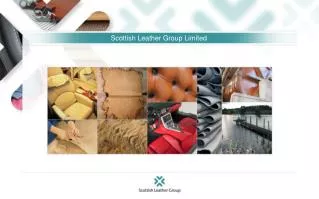 Scottish Leather Group Limited