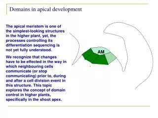 Domains in apical development