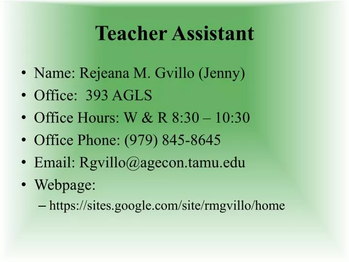 teacher assistant