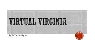 Virtual Virginia