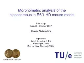 Morphometric analysis of the hippocampus in R6/1 HD mouse model