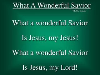 What A Wonderful Savior