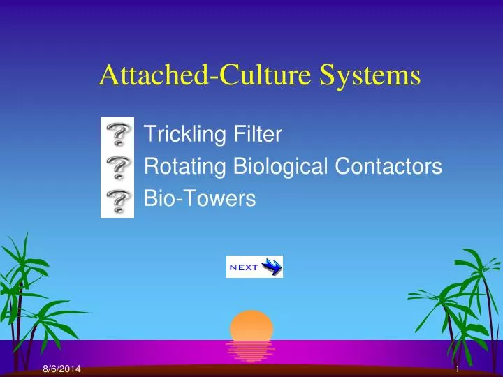 attached culture systems