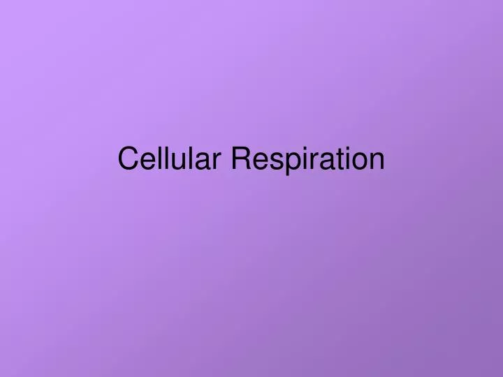 cellular respiration