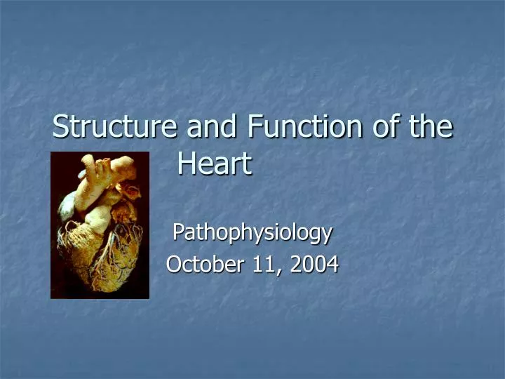 structure and function of the heart