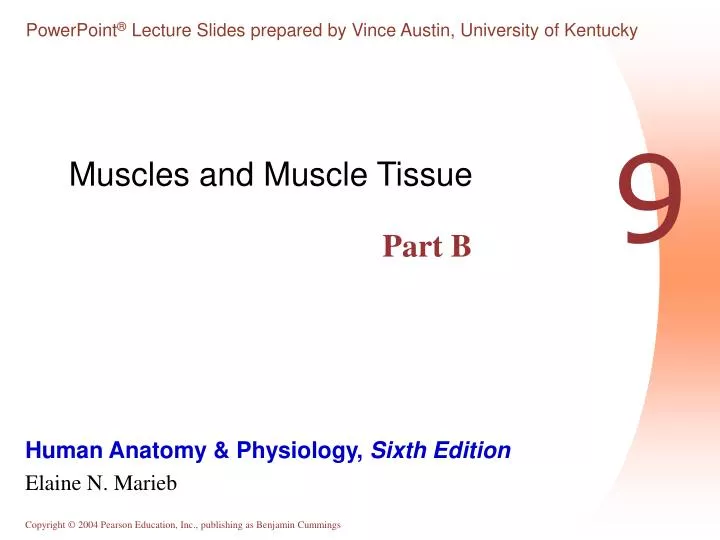 muscles and muscle tissue