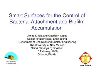 Smart Surfaces for the Control of Bacterial Attachment and Biofilm Accumulation