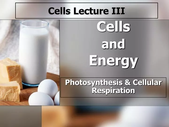 cells and energy
