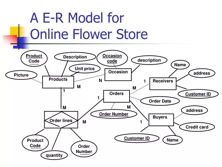a e r model for online flower store