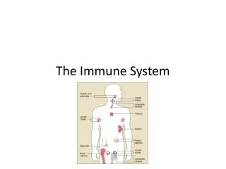 the immune system