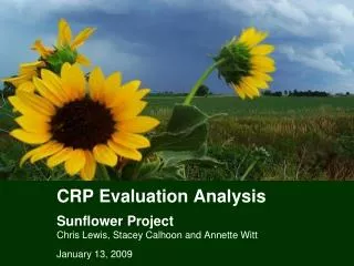 CRP Evaluation Analysis Sunflower Project Chris Lewis, Stacey Calhoon and Annette Witt