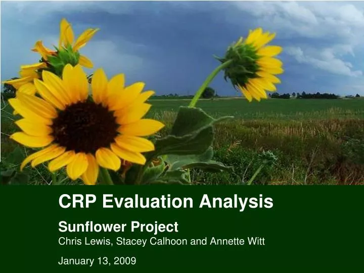 crp evaluation analysis sunflower project chris lewis stacey calhoon and annette witt
