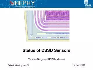 Status of DSSD Sensors