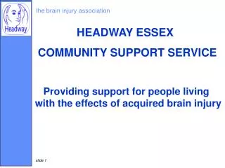 the brain injury association