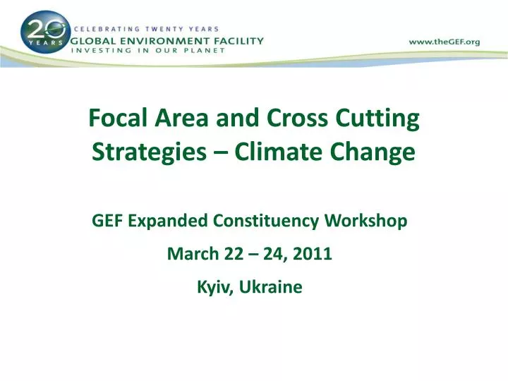 focal area and cross cutting strategies climate change