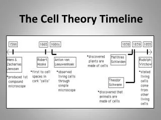 PPT - Timeline of the Development of Cell Theory PowerPoint ...