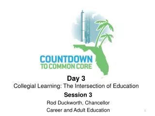 Day 3 Collegial Learning: The Intersection of Education
