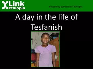 A day in the life of Tesfanish