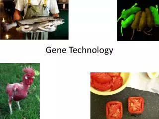 gene technology