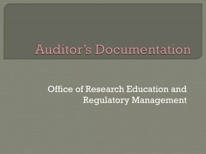 auditor s documentation