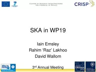 SKA in WP19