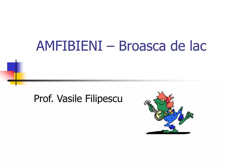 amfibieni broasca de lac