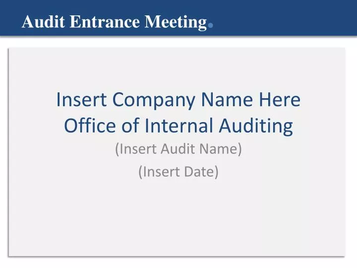 insert company name here office of internal auditing