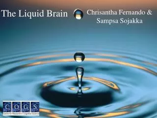 The Liquid Brain
