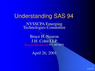 Understanding SAS 94