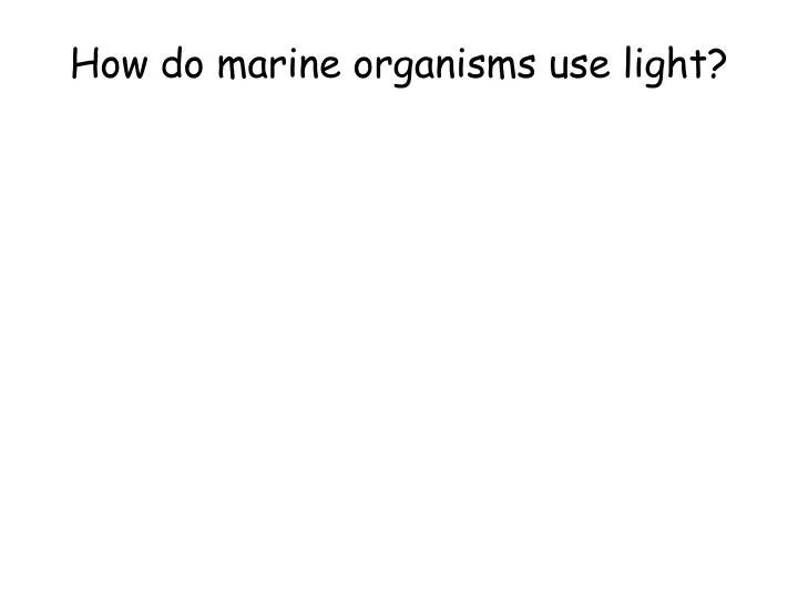 how do marine organisms use light