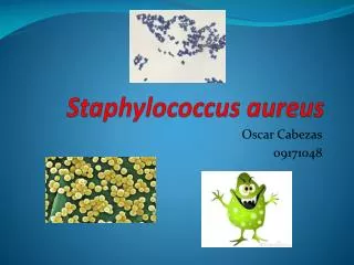 staphylococcus aureus
