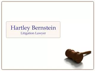 Hartley Bernstein And Litigation Support