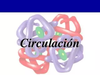 circulaci n