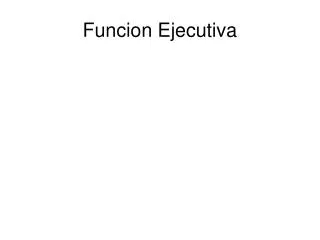 funcion ejecutiva