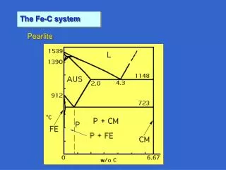 The Fe-C system