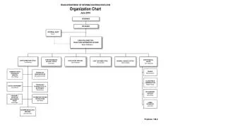 TEXAS DEPARTMENT OF INFORMATION RESOURCES (DIR) Organization Chart June 2014