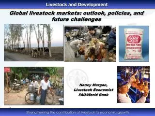Global livestock markets: outlook, policies, and future challenges