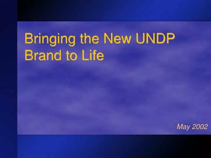 bringing the new undp brand to life