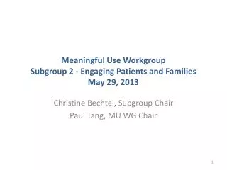 Meaningful Use Workgroup Subgroup 2 - Engaging Patients and Families May 29, 2013