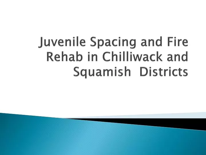 juvenile spacing and fire rehab in chilliwack and squamish districts