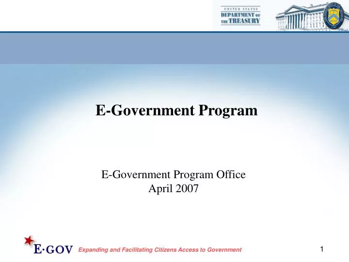 e government program