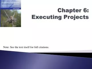 Chapter 6: Executing Projects