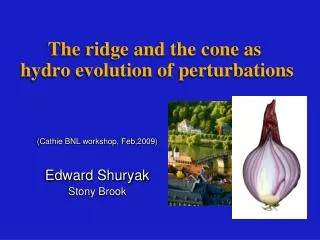 The ridge and the cone as hydro evolution of perturbations