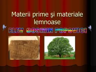 materii prime i materiale lemnoase