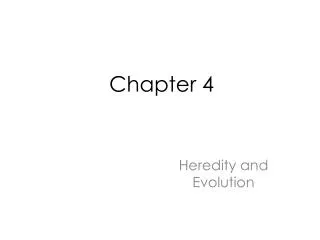 Chapter 4