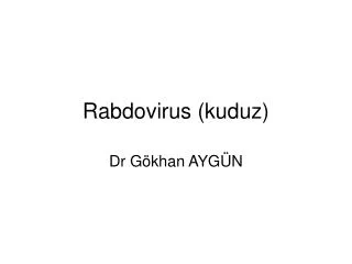 rabdovirus kuduz