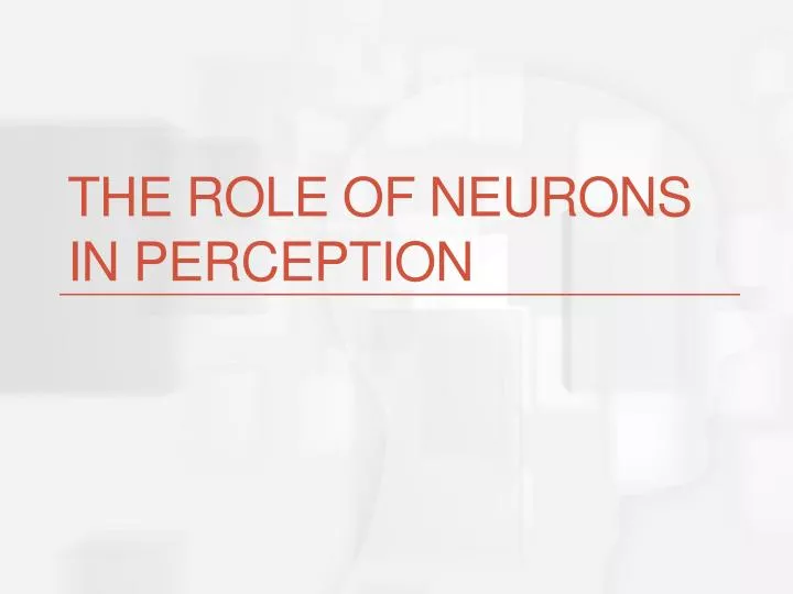 the role of neurons in perception